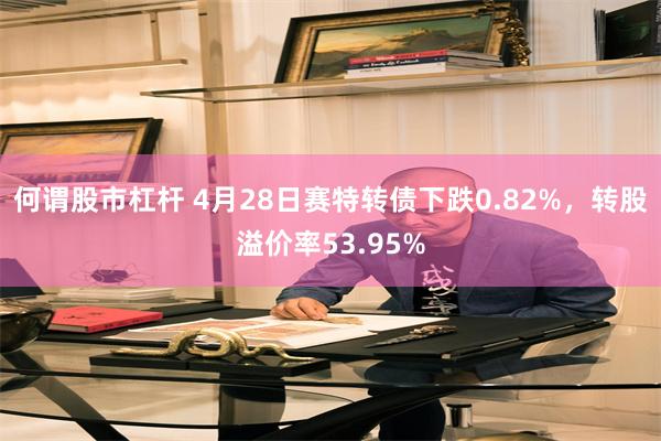 何谓股市杠杆 4月28日赛特转债下跌0.82%，转股溢价率53.95%