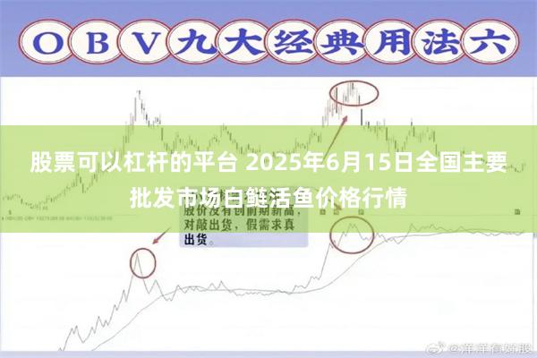 股票可以杠杆的平台 2025年6月15日全国主要批发市场白鲢活鱼价格行情