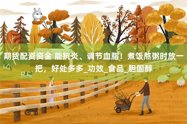 期货配资资金 能抗炎、调节血脂！煮饭熬粥时放一把，好处多多_功效_食品_胆固醇