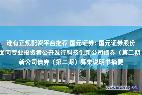 谁有正规配资平台推荐 国元证券: 国元证券股份有限公司2025年面向专业投资者公开发行科技创新公司债券(第二期)募集说明书摘要
