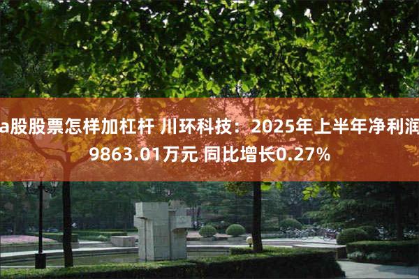 a股股票怎样加杠杆 川环科技：2025年上半年净利润9863.01万元 同比增长0.27%