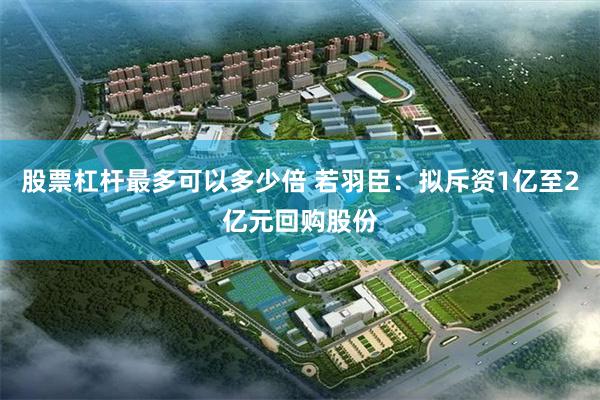 股票杠杆最多可以多少倍 若羽臣：拟斥资1亿至2亿元回购股份