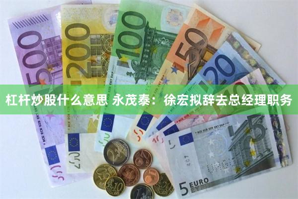 杠杆炒股什么意思 永茂泰：徐宏拟辞去总经理职务